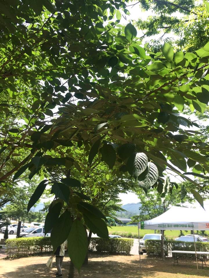 첨부 이미지
